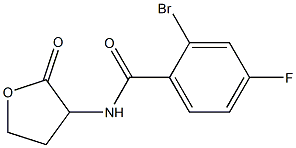 2-bromo-4-fluoro-N-(2-oxooxolan-3-yl)benzamide Struktur