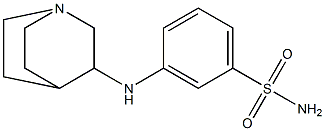 3-{1-azabicyclo[2.2.2]octan-3-ylamino}benzene-1-sulfonamide Struktur