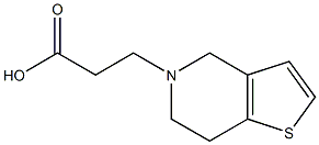 3-{4H,5H,6H,7H-thieno[3,2-c]pyridin-5-yl}propanoic acid Struktur