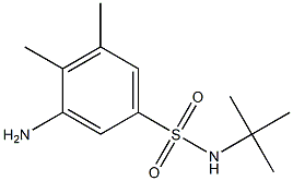 3-amino-N-tert-butyl-4,5-dimethylbenzene-1-sulfonamide Struktur