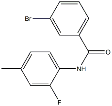 3-bromo-N-(2-fluoro-4-methylphenyl)benzamide Structure