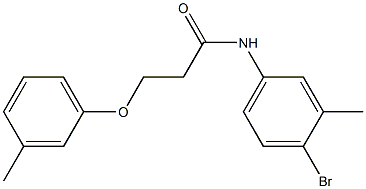 N-(4-bromo-3-methylphenyl)-3-(3-methylphenoxy)propanamide Struktur