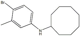 N-(4-bromo-3-methylphenyl)cyclooctanamine Struktur