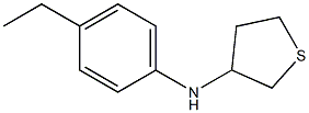 N-(4-ethylphenyl)thiolan-3-amine Struktur