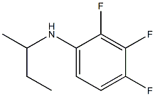 N-(butan-2-yl)-2,3,4-trifluoroaniline Struktur