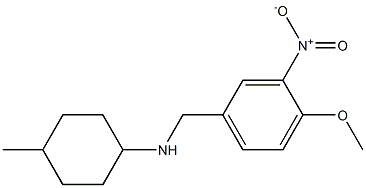 N-[(4-methoxy-3-nitrophenyl)methyl]-4-methylcyclohexan-1-amine Struktur