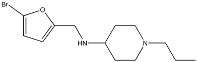 N-[(5-bromofuran-2-yl)methyl]-1-propylpiperidin-4-amine Struktur