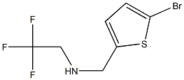 N-[(5-bromothien-2-yl)methyl]-N-(2,2,2-trifluoroethyl)amine Struktur