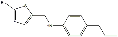 N-[(5-bromothiophen-2-yl)methyl]-4-propylaniline Struktur