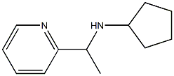 N-[1-(pyridin-2-yl)ethyl]cyclopentanamine Struktur