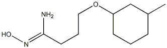 N'-hydroxy-4-[(3-methylcyclohexyl)oxy]butanimidamide Struktur