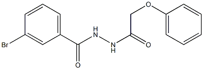 3-bromo-N'-(2-phenoxyacetyl)benzohydrazide Struktur