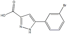 5-(3-Bromophenyl)-1H-pyrazole-3-carboxylic acid ,97% Struktur