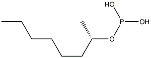 (+)-Phosphorous acid dihydrogen [(S)-1-methylheptyl] ester Struktur