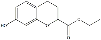 3,4-Dihydro-7-hydroxy-2H-1-benzopyran-2-carboxylic acid ethyl ester Struktur