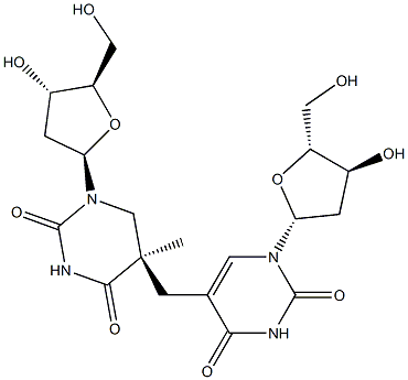 (5R)-5-(2'-Deoxyuridine-5-ylmethyl)-5,6-dihydrothymidine Struktur