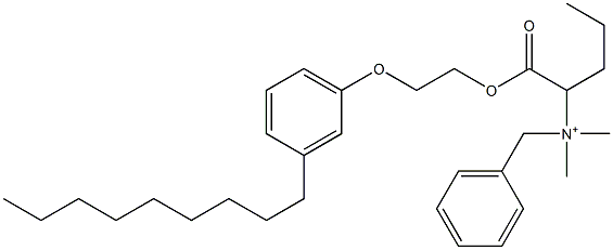 N,N-Dimethyl-N-benzyl-N-[1-[[2-(3-nonylphenyloxy)ethyl]oxycarbonyl]butyl]aminium Struktur