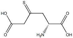 [R]-5-Amino-3-thiohexanedioic acid Struktur