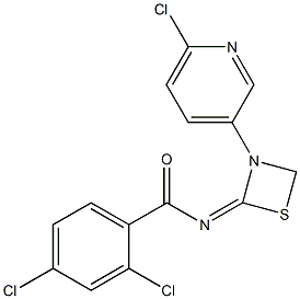 N-[3-(6-Chloro-3-pyridinyl)-1,3-thiazetidin-2-ylidene]-2,4-dichlorobenzamide Struktur