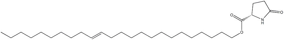 (S)-5-Oxopyrrolidine-2-carboxylic acid 14-tetracosenyl ester Struktur