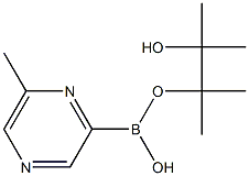 6-METHYLPYRAZINE-2-BORONIC ACID PINACOL ESTER Struktur