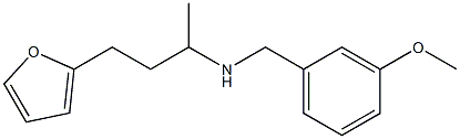 [4-(furan-2-yl)butan-2-yl][(3-methoxyphenyl)methyl]amine Struktur