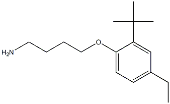 1-(4-aminobutoxy)-2-tert-butyl-4-ethylbenzene Struktur