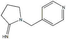 1-(pyridin-4-ylmethyl)pyrrolidin-2-imine Struktur