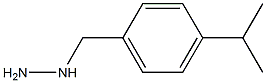 1-{[4-(propan-2-yl)phenyl]methyl}hydrazine Struktur