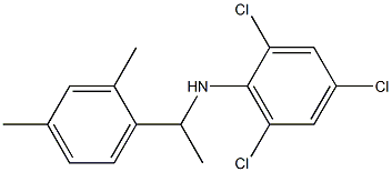 2,4,6-trichloro-N-[1-(2,4-dimethylphenyl)ethyl]aniline Struktur