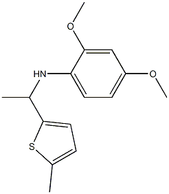 2,4-dimethoxy-N-[1-(5-methylthiophen-2-yl)ethyl]aniline Struktur