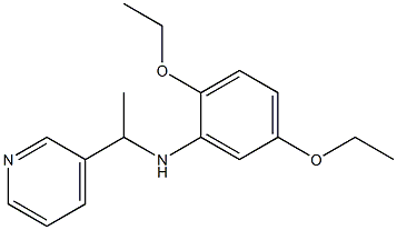 2,5-diethoxy-N-[1-(pyridin-3-yl)ethyl]aniline Struktur