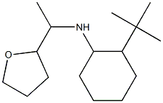 2-tert-butyl-N-[1-(oxolan-2-yl)ethyl]cyclohexan-1-amine Struktur