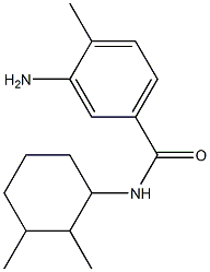 3-amino-N-(2,3-dimethylcyclohexyl)-4-methylbenzamide Struktur