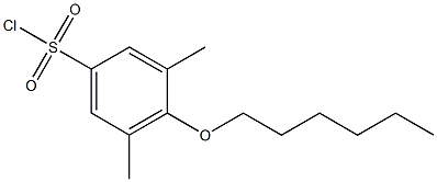 4-(hexyloxy)-3,5-dimethylbenzene-1-sulfonyl chloride Struktur