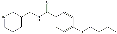 4-butoxy-N-(piperidin-3-ylmethyl)benzamide Struktur