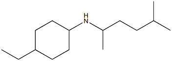 4-ethyl-N-(5-methylhexan-2-yl)cyclohexan-1-amine Struktur