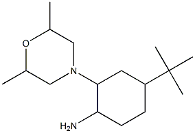 4-tert-Butyl-2-(2,6-dimethyl-morpholin-4-yl)-cyclohexylamine Struktur