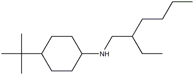 4-tert-butyl-N-(2-ethylhexyl)cyclohexan-1-amine Struktur