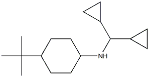 4-tert-butyl-N-(dicyclopropylmethyl)cyclohexan-1-amine Struktur