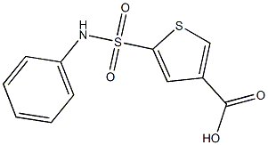 5-(phenylsulfamoyl)thiophene-3-carboxylic acid Struktur