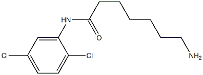 7-amino-N-(2,5-dichlorophenyl)heptanamide Struktur