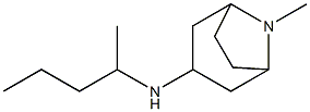 8-methyl-N-(pentan-2-yl)-8-azabicyclo[3.2.1]octan-3-amine Struktur