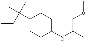 N-(1-methoxypropan-2-yl)-4-(2-methylbutan-2-yl)cyclohexan-1-amine Struktur