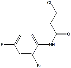 N-(2-bromo-4-fluorophenyl)-3-chloropropanamide Struktur