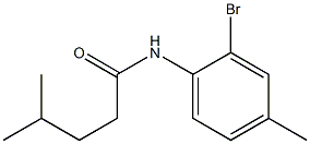 N-(2-bromo-4-methylphenyl)-4-methylpentanamide Struktur