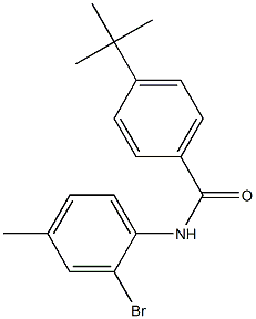 N-(2-bromo-4-methylphenyl)-4-tert-butylbenzamide Struktur