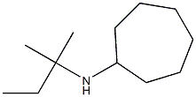 N-(2-methylbutan-2-yl)cycloheptanamine Struktur