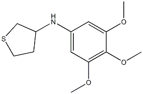 N-(3,4,5-trimethoxyphenyl)thiolan-3-amine Struktur