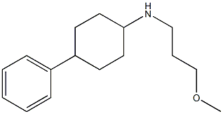 N-(3-methoxypropyl)-4-phenylcyclohexan-1-amine Struktur